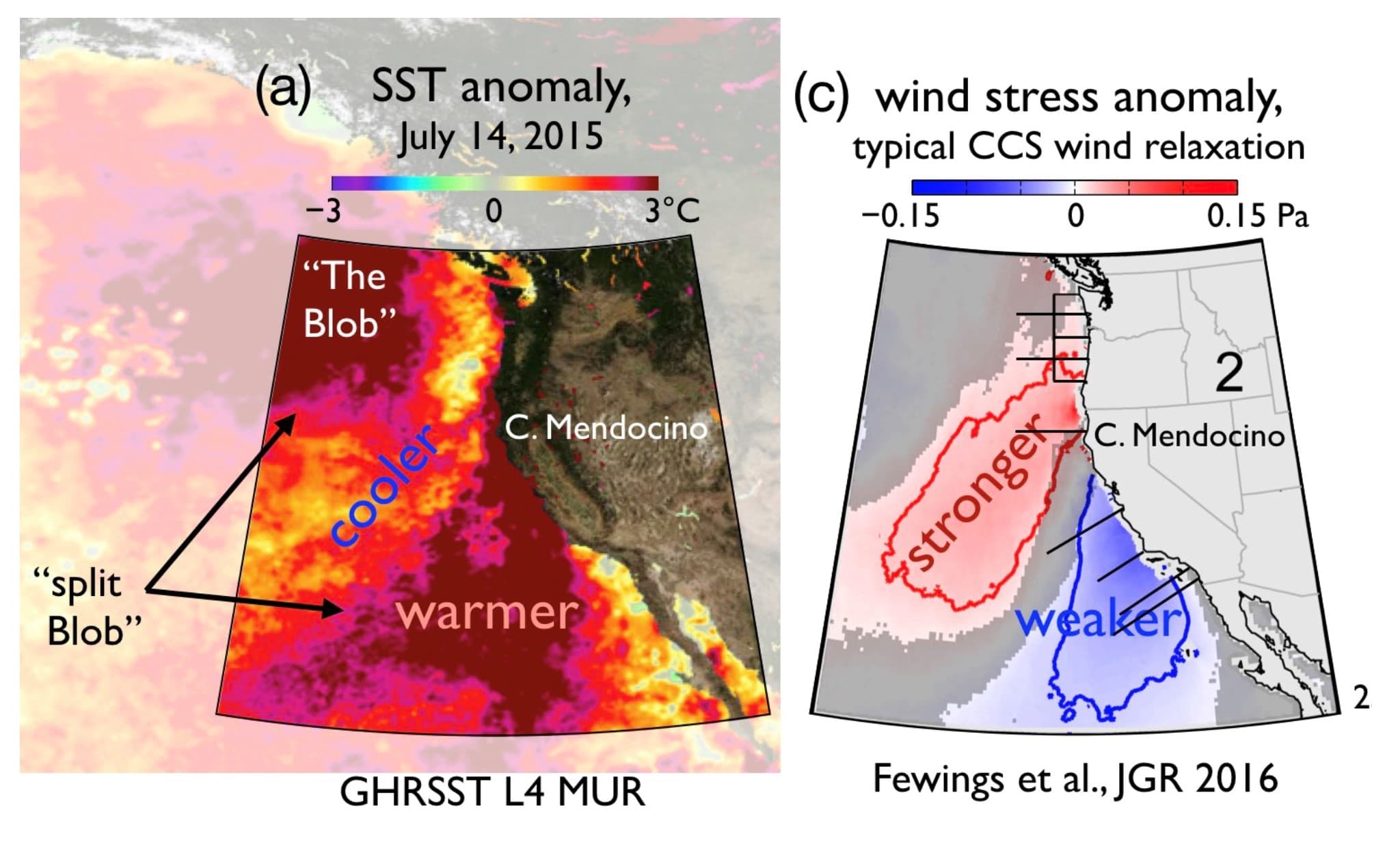 marine heat wave and wind stress figures
