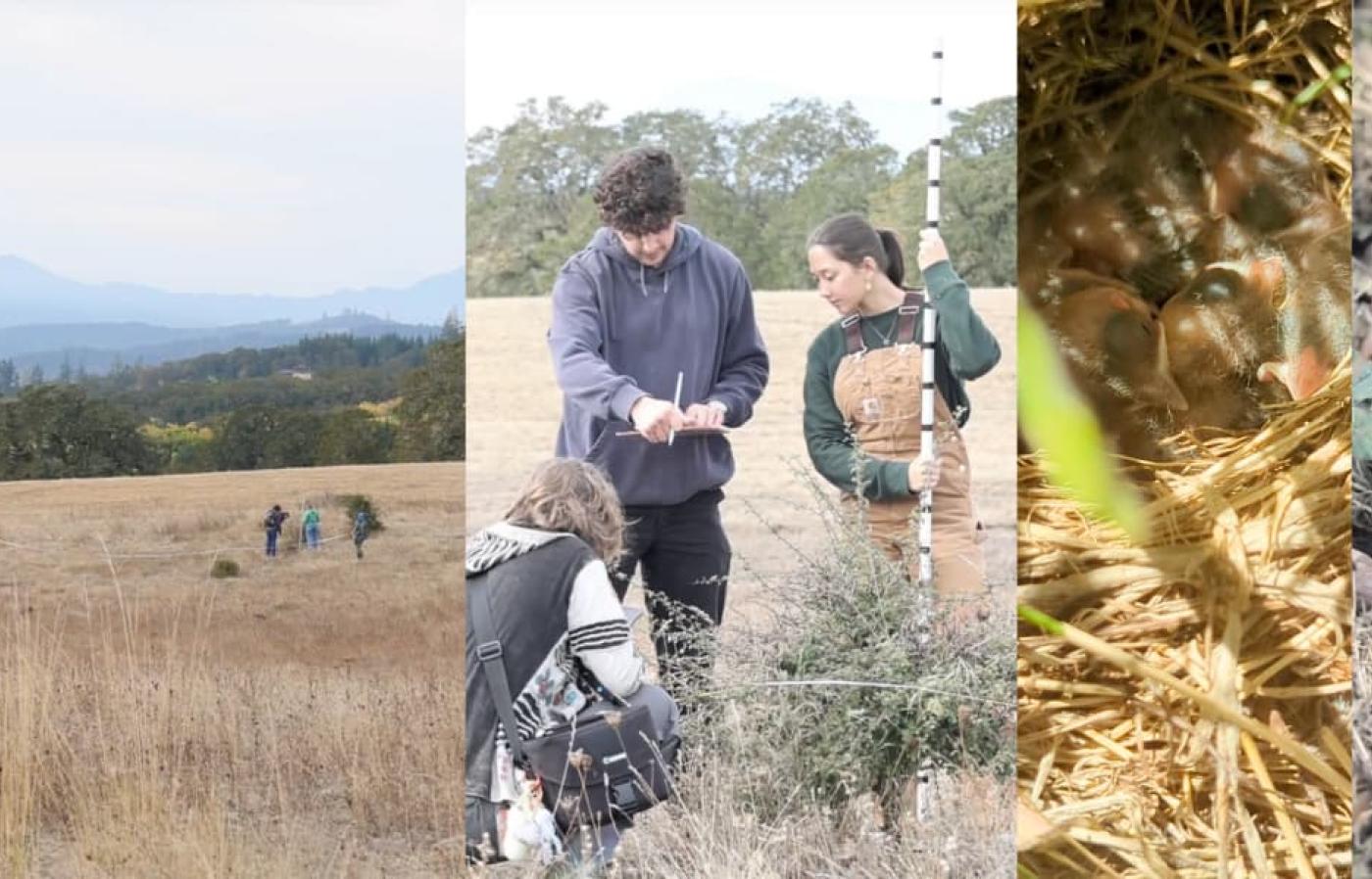 students working in fields