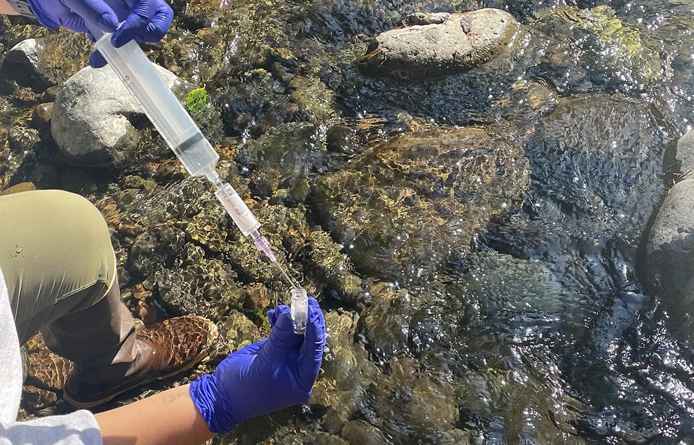 gloved hands adding stream water sample to a small bottle