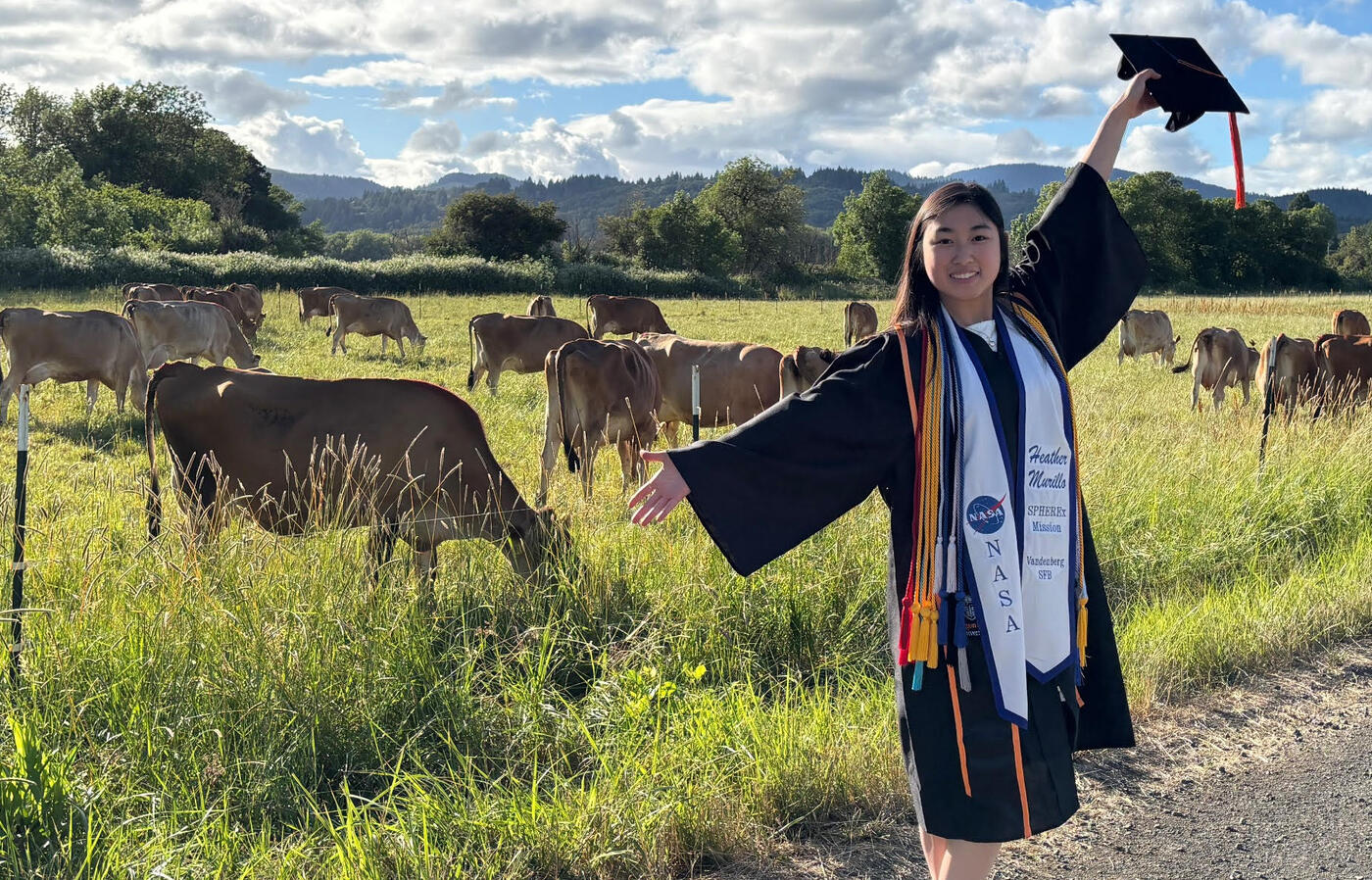 Heather poses in graduation regalia in front of the OSU cows. 