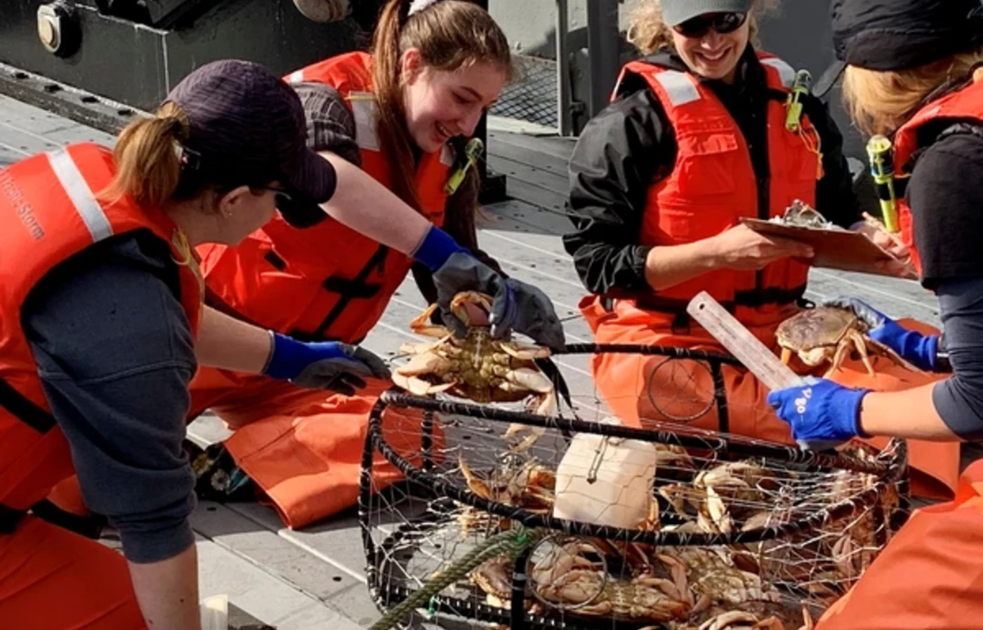 Students on a boat looking at crabs