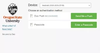 VDI Duo