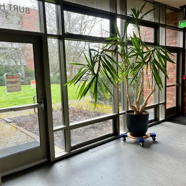 Looking out at courtyard