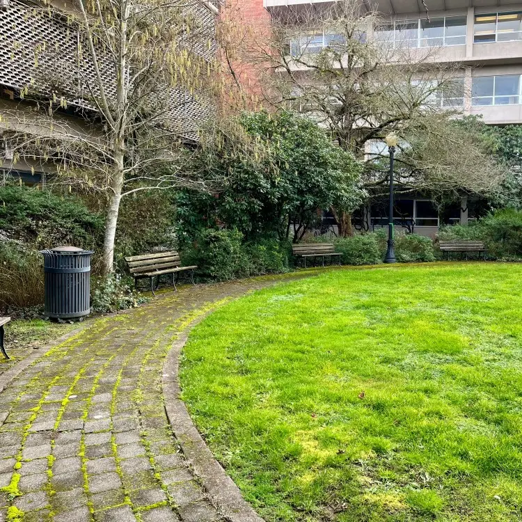 Burt courtyard