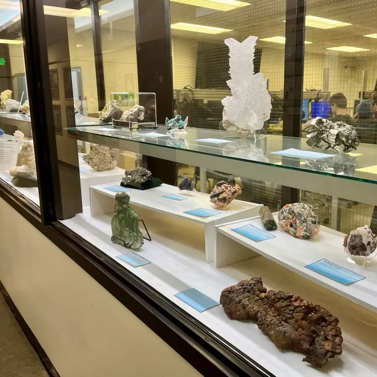 Geology display case