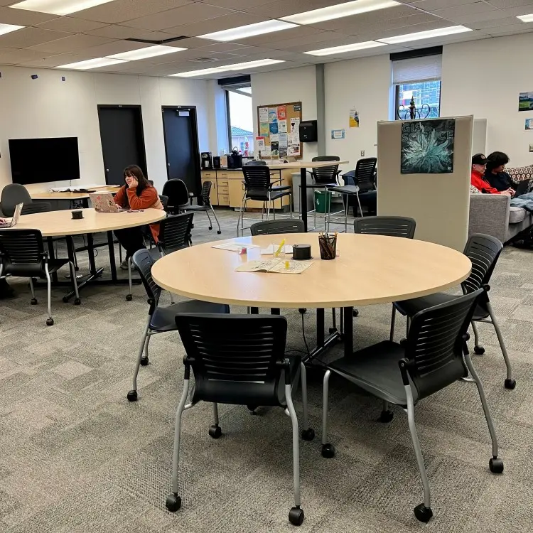 The Collaborative Learning Space