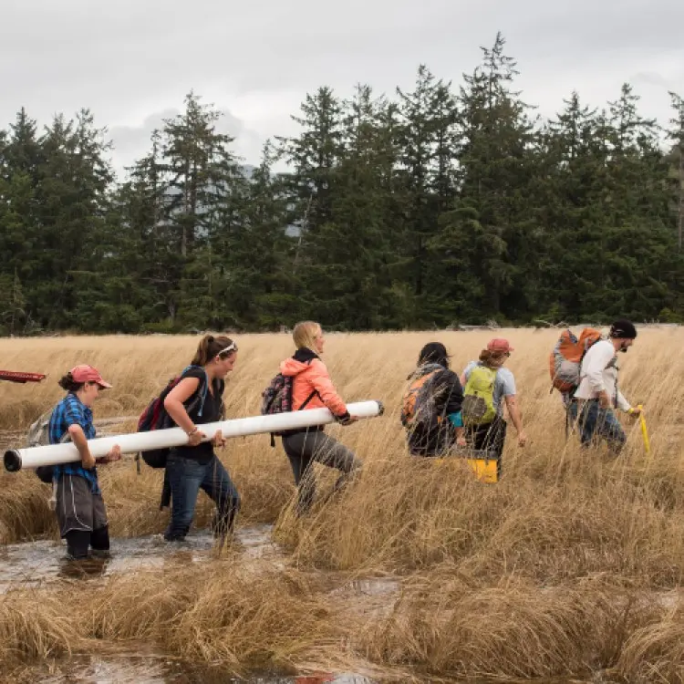 Students learn in the field