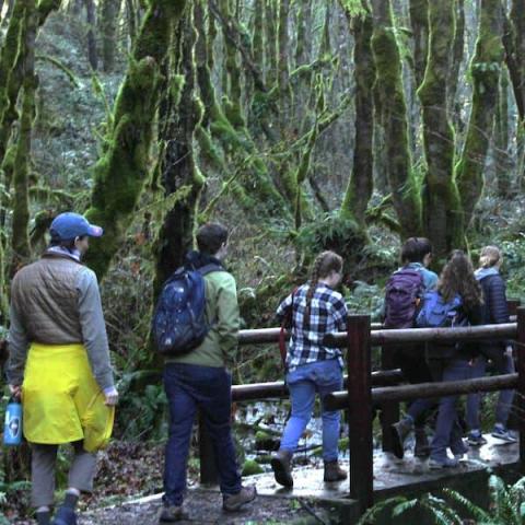 students on a foot bridge in the forest