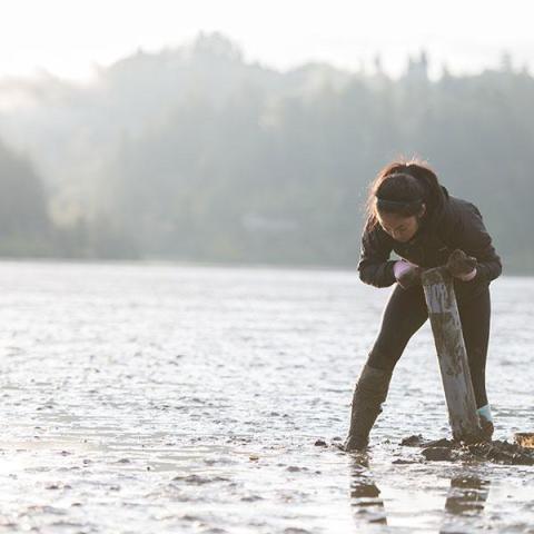 student collecting samples from the water