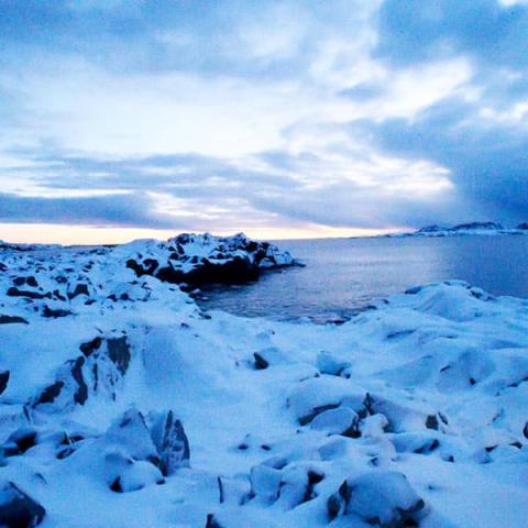 snowy landscape