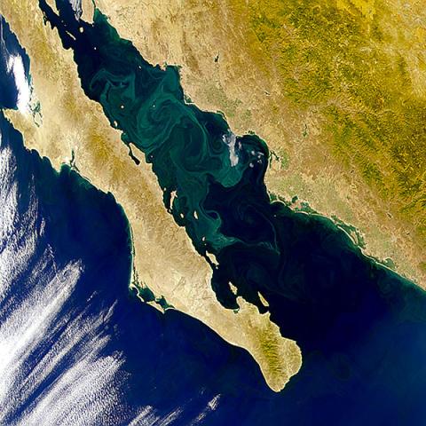 Baja California viewed from space