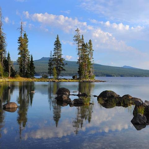 a mirror smooth lake in front of trees and a hill