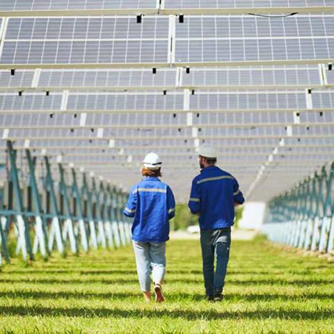 two people walking below solar panels