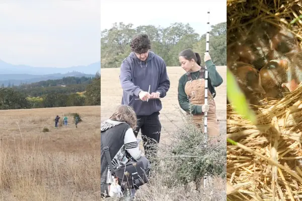 students working in fields