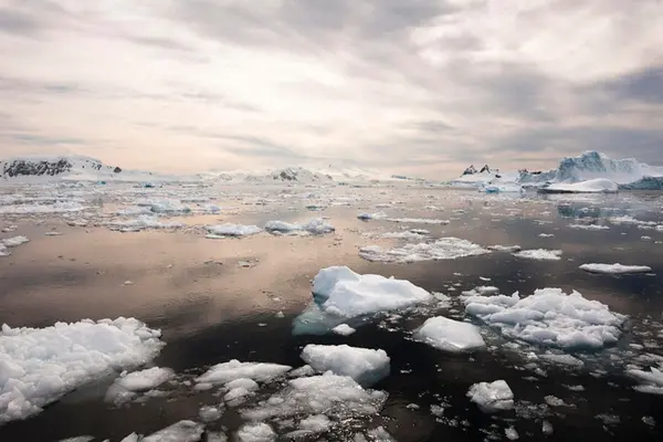 sea ice at sunset