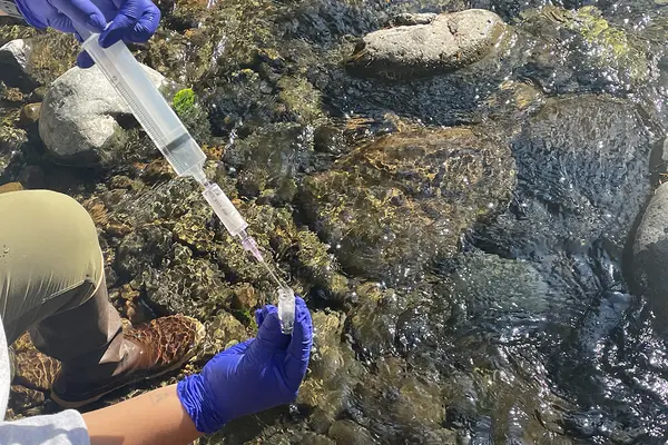 gloved hands adding stream water sample to a small bottle